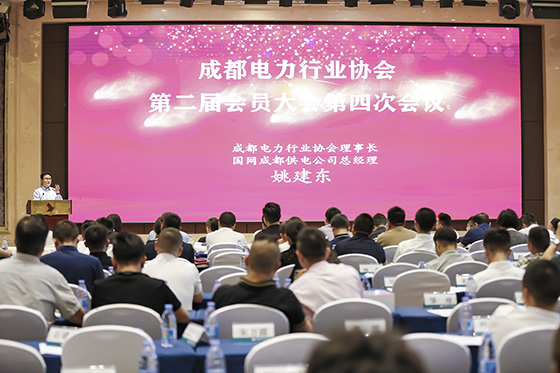我司員工獲評成都電力行業(yè)協(xié)會先進(jìn)個(gè)人