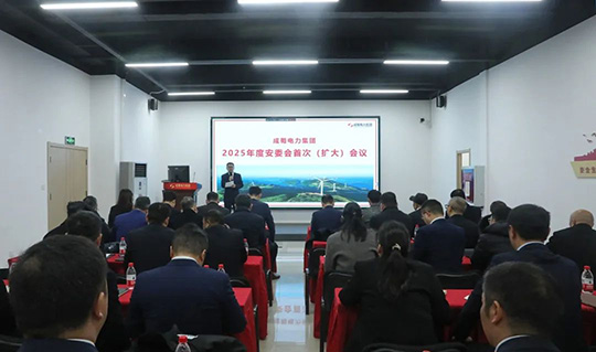 集團(tuán)召開2025年度安委會首次（擴(kuò)大）會議