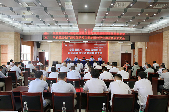 成蜀電力集團(tuán)榮獲華能景洪電廠新能源建設(shè)勞動競賽 “先進(jìn)單位”稱號